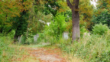 Tilt-up-shot-of-an-abandoned-cemetery