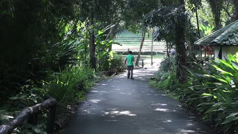 Man-sweeping-leaves-in-the-middle-of-foilage-path-inside-ecopark