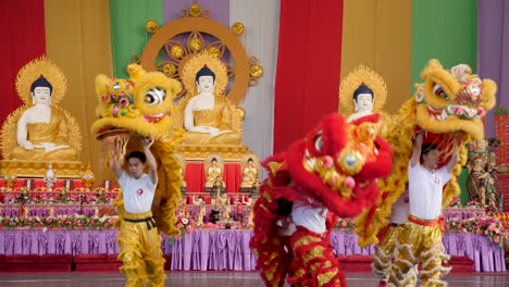 Löwentanz-Buddha-Geburtstagsfest,-Brisbane-2018-Löwentanzshow-Beim-Chinesischen-Neujahrsfest
