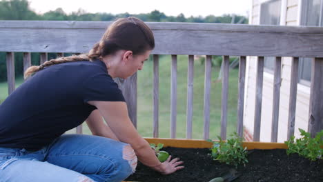 young-woman-planting-brussel-sprouts