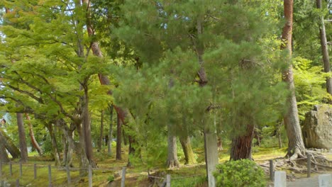 Schöne-Grüne-Blätter-Und-Bäume,-Die-Einen-Großen-Schrein-Im-Hintergrund-In-Kyoto,-Japan-Umgeben,-Weiche-Beleuchtung-4k