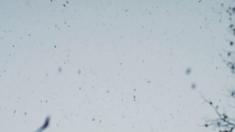 SLOW-MOTION:-POV-shot-of-snowflakes-falling-heavily-from-the-sky-at-dawn
