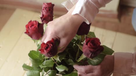 Hands-arranging-bunch-of-red-roses-in-a-vase