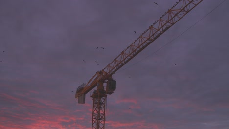 Crows-flying-over-a-crane-at-construction-site-in-the-golden-light-of-a-sunset