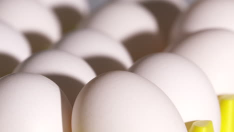 Nahaufnahme-Von-Frischen-Eiern,-Die-Sich-Entlang-Einer-Produktionslinie-Auf-Einer-Geflügelfarm-Bewegen