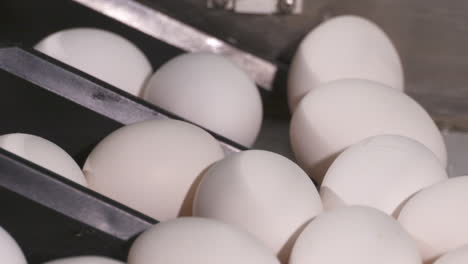 Huevos-Frescos-Moviéndose-A-Lo-Largo-De-Una-Línea-De-Producción-En-Una-Granja-Avícola