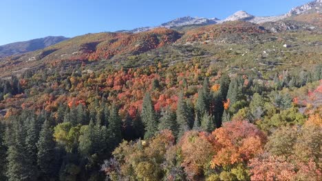 Eine-Drohne-Fliegt-über-Die-Felsen-Und-Hänge-Des-Dry-Creek-Trailhead-In-Alpine,-Utah,-Während-Sich-Die-Blätter-In-Leuchtende-Herbstfarben-Verwandeln