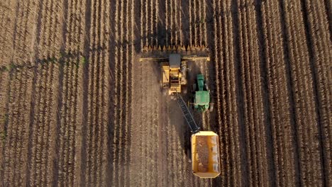 Top-down-aerial-view,-following,-a-harvestor-picking-seed-corn-for-nexts-years-planting
