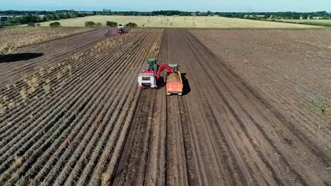 A-reverse-aerial-clip-filmed-by-drone-of-a-potato-harvester-lifting-the-crop-in-a-dry-field-on-a-lovely-sunny-day