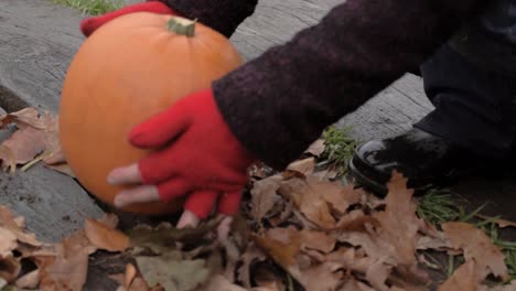 Hands-picking-up-a-pumpkin-in-autumn-leaves-scene