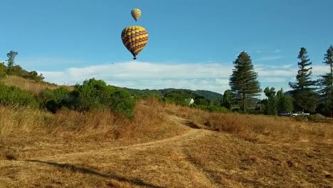 Ms-Des-Parks,-Während-Im-Hintergrund-Heißluftballons-Am-Himmel-Schweben