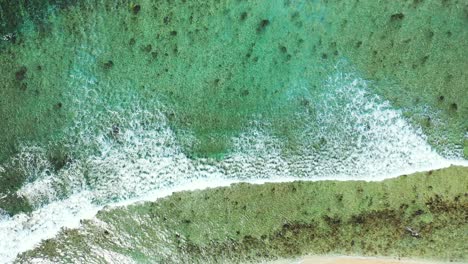 Indonesia-Green-Coast-Showing-A-Beautiful-Soft-Waves-Moving-Altogether-Creating-Foamy-Waves-At-The-Coastline---Aerial-Shot