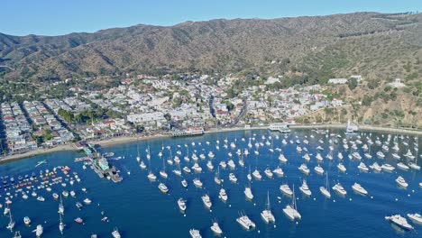 Catalina-Island-harbor-blue-ocean-and-tropical-beaches-view-from-drone