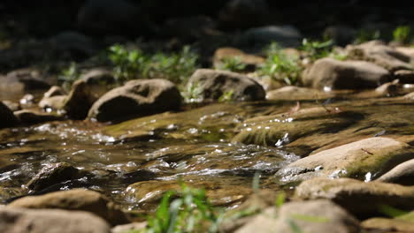 A-small-stream-flowing-over-rocks-in-rural-america