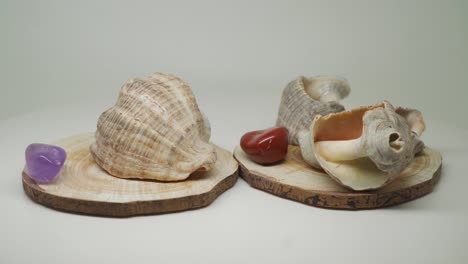 Sea-Shells-and-Small-Purple-and-Red-Gem-Stone-On-Top-Of-A-Wood-Craft,-Rotating-Clockwise-With-Pure-White-Background---Close-Up-Shot