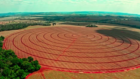 Panoramablick-Aus-Der-Luft-Auf-Ein-Kreisförmiges-Getreidefeld-In-Brasilien