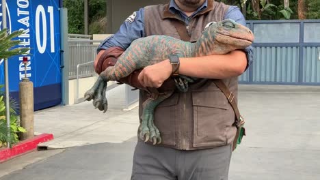 A-baby-raptor-taking-a-little-nap-while-being-held-by-its-trainer-at-"Jurassic-World",-Universal-Studios-Hollywood