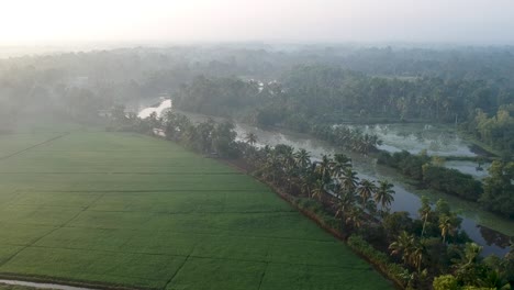 Asian-paddy-field-village,sky,Sun-beam-reflection-,River,Aerial-Shot,irrigation,Mist,Mangroves,Water,Sunrice