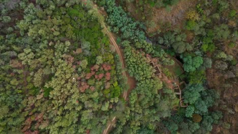 aerial-top-view-of-country-road-and-power-lines-in-forest---Portugal