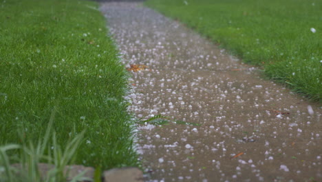 Weather_Heavy-Hail-falling-on-sidewalk-and-green-lawn-and-fallen-leaves