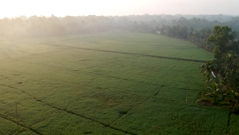 Asian-paddy-field-village,sky,Sun-beam-reflection-,River,Aerial-Shot,irrigation,Mist,Water,Lush-green,-Sunrise