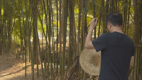 A-man-walking-through-a-bamboo-garden-removes-his-hat-to-itch-his-scalp-and-brush-the-dandruff-off-his-shirt