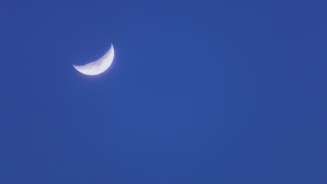 HD-Video-of-Moon-Against-Evening-Sky-at-40X-Speed