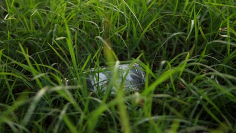 Caucasian-woman's-hand-drops-an-empty-glass-bottle-on-ground-and-litters