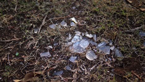 Close-up-of-shards-of-broken-glass-lying-on-the-ground,-glinting-in-the-sun