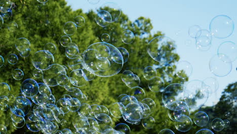 Seifenblasen,-Die-In-Der-Luft-Auf-Baumhintergrund-Fliegen