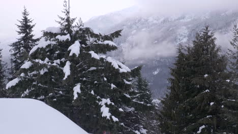 Nebliger-Berg-Mit-Schneebedeckten-Kiefernwipfeln-In-Einer-Wintersaison-In-Whistler,-Kanada---Weitwinkelaufnahme