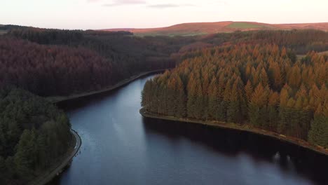 Aerial-shot-over-a-lake-and-forest-at-sunrise