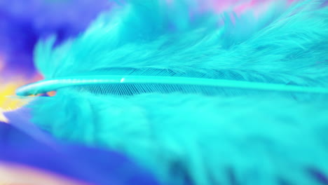 Macro-closeup-pan-across-a-bright,-turquoise-bird-feather