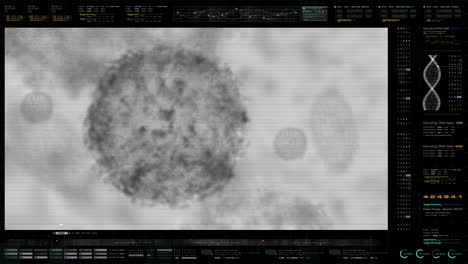 Visualización-Frontal-Anticipada-Del-Brote-De-Virus-Aerotransportado-De-Escaneo-De-Microscopio-Electrónico-Que-Muestra-La-Anatomía-Del-Virus-En-Detalles-De-Cerca