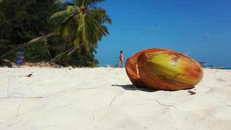 Close-up-of-a-cracked-coconut-on-the-sandy-beach-with-palms-and-young-girl-walking-on-the-sand-in-the-background