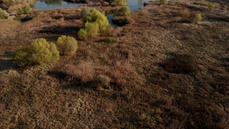 Delta-reservation-biosphere-aerial-shoot