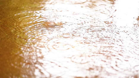 Raindrops-falling-slowly-in-water-puddle,-slow-motion