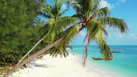 Wunderschöne-Palmen-Mit-Kokosnusssamen,-Die-Sich-über-Den-Weißen-Sand-Eines-Exotischen-Strandes-Beugen,-Der-Von-Einer-Türkisfarbenen-Lagune-Mit-Verankerten-Booten-In-Thailand-Umspült-Wird