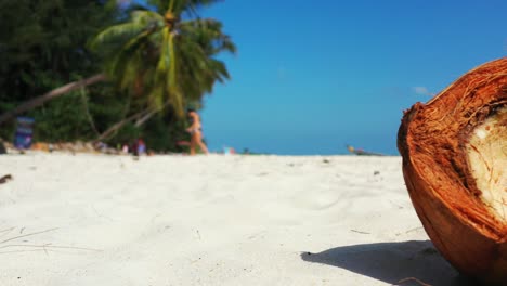 Cracked-open-coconut-on-the-sandy-beach