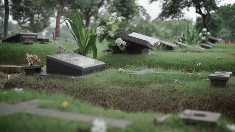 Cementerio-De-Césped-Con-Placas-Conmemorativas-De-Granito-Negro-Y-árboles-En-El-Fondo