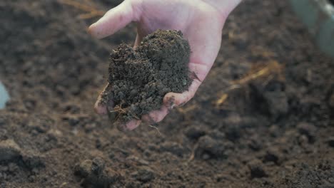 Taking-sample-of-soil-from-the-ground-in-your-hand