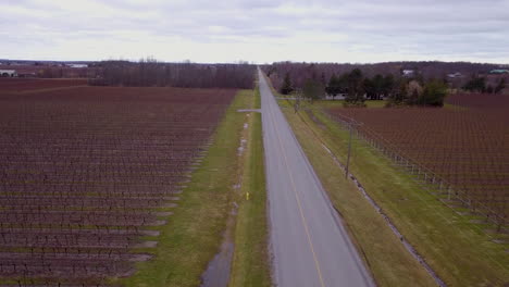 Aerial-flying-over-a-country-highway-surrounded-by-vineyards