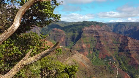 4K-Hawaii-Kauai-boom-up-branches-with-waterfall-and-Waimea-Canyon-in-distance-ending-with-branch-along-top-of-frame-under-partly-cloudy-sky