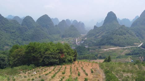 Footage-clip-of-a-karst-mountain-landscape-and-terraced-tea-plantation-landscape-on-a-sunny-day,-China