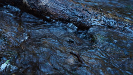 Waldfluss.-Ein-Kleiner-Wasserstrahl-Fließt