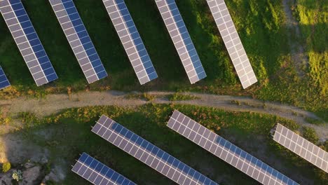 Top-down-aerial-view-of-Solar-Farm-with-panels-facing-sunshine-golden-hour-light