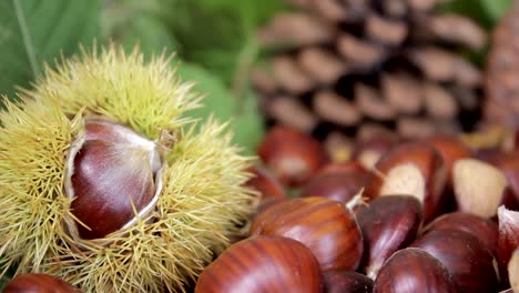 Chestnuts-and-pinecones