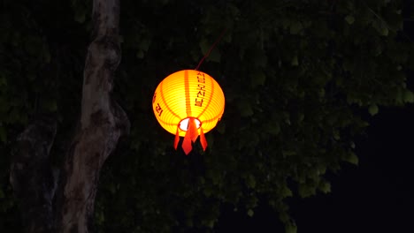 Schöne-Laterne,-Die-Nachts-In-Südkorea-Während-Der-Geburtstagsfeier-Buddhas-Am-Baum-Hängt---Low-Angle-Shot