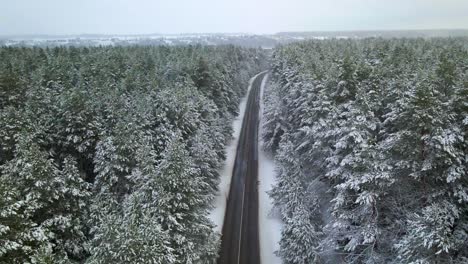 drone-shot-of-the-narrow-asphalt-road-surrounded-by-snow-covered-forest-pine-trees-on-a-cloudy-frosty-winter-day