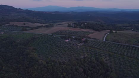 Toskanische-Olivenbaumplantage-Während-Des-Sonnenuntergangs,-Italienische-Landschaft-In-Der-Dämmerung,-Antenne
